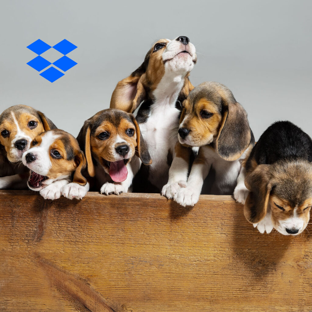 Dropbox