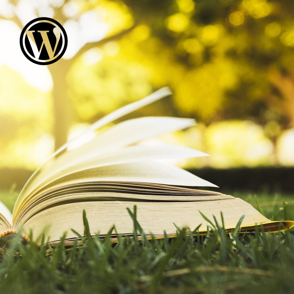 WordPress Plugs