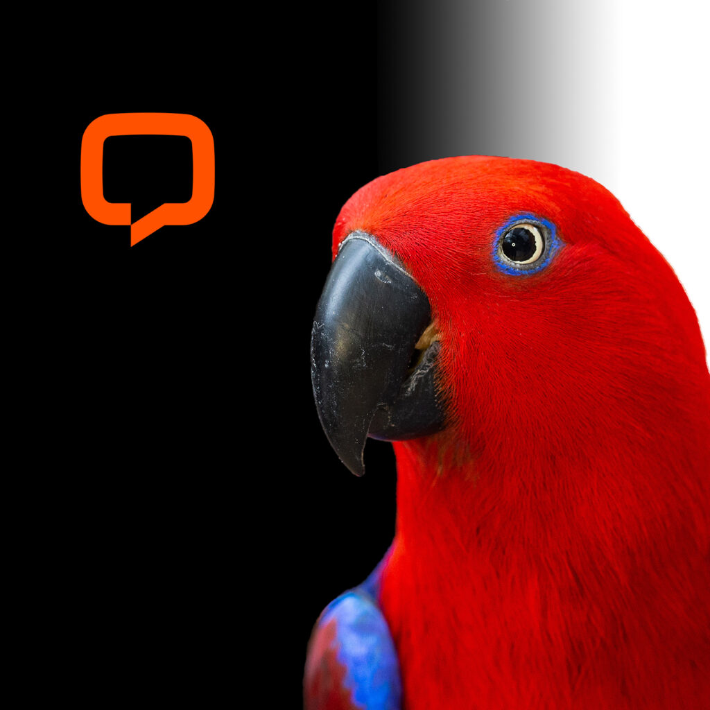 LiveChat